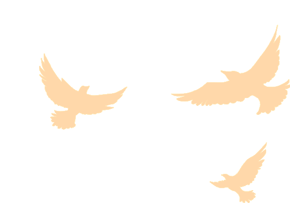 筑梦启程|珠海Agin games2025迎新晚会暨2024年度表彰大会 筑梦启程|珠海Agin games2025迎新晚会暨2024年度表彰大会