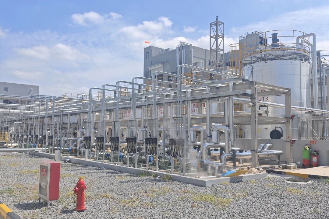 实力见证！Agin gamesFA项目团队再获迪爱生中日双方高度认可