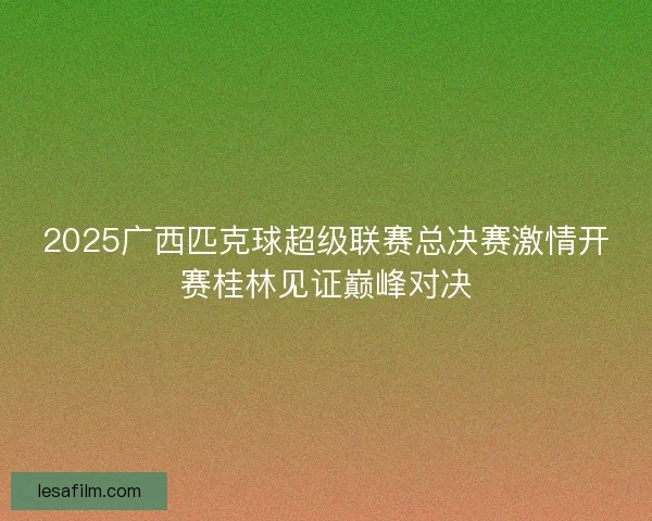 2025广西匹克球超级联赛总决赛激情开赛桂林见证巅峰对决 2025广西匹克球超级联赛总决赛激情开赛桂林见证巅峰对决